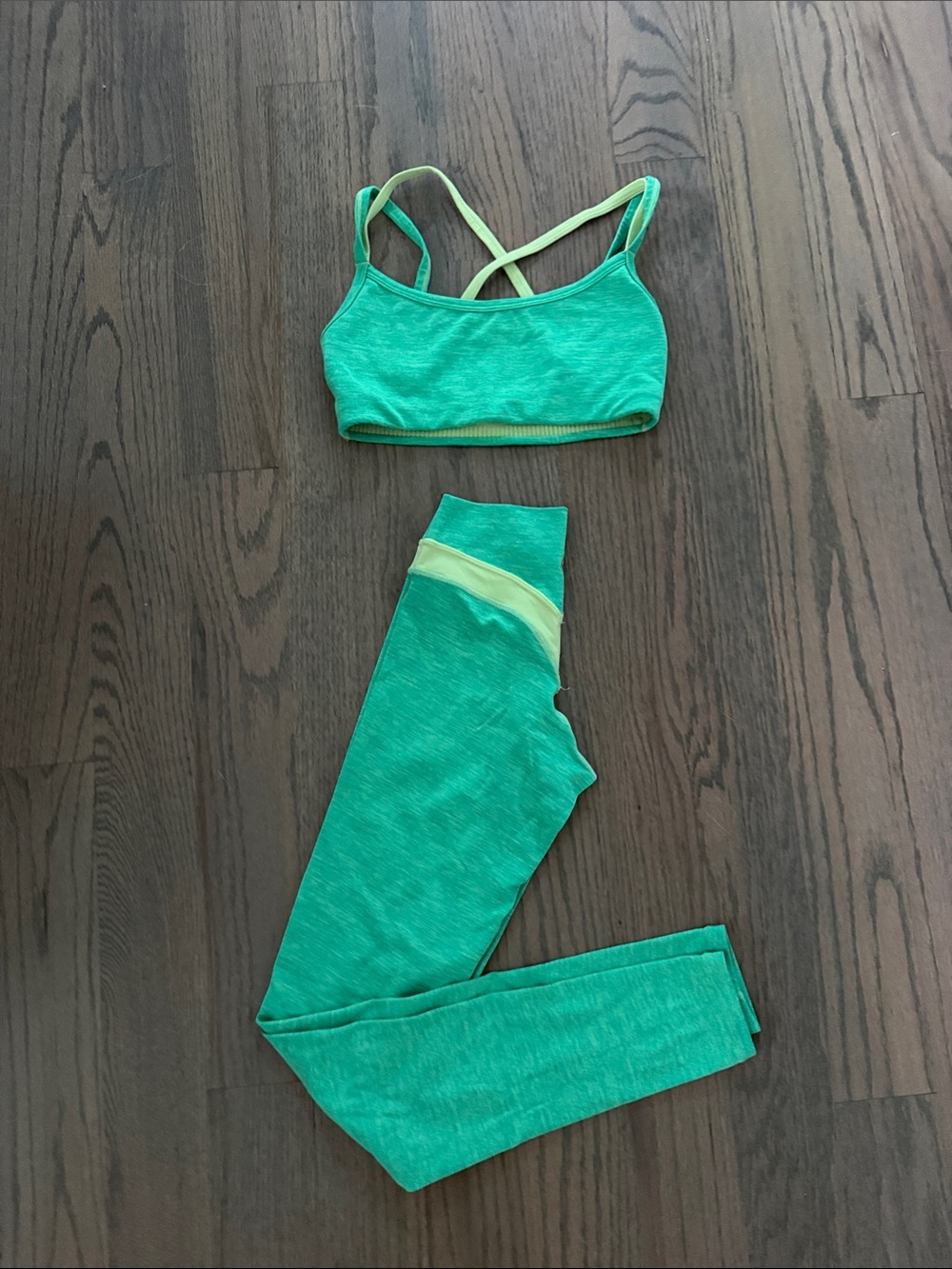 Green Seamless Sports Bra with Neon Trim